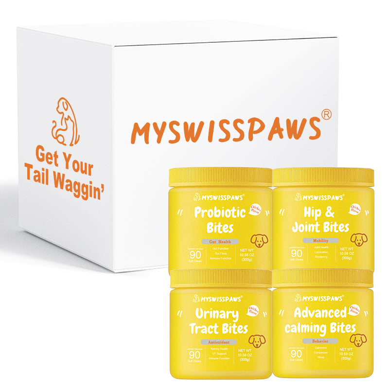 4er-Pack Bisse für Hunde
