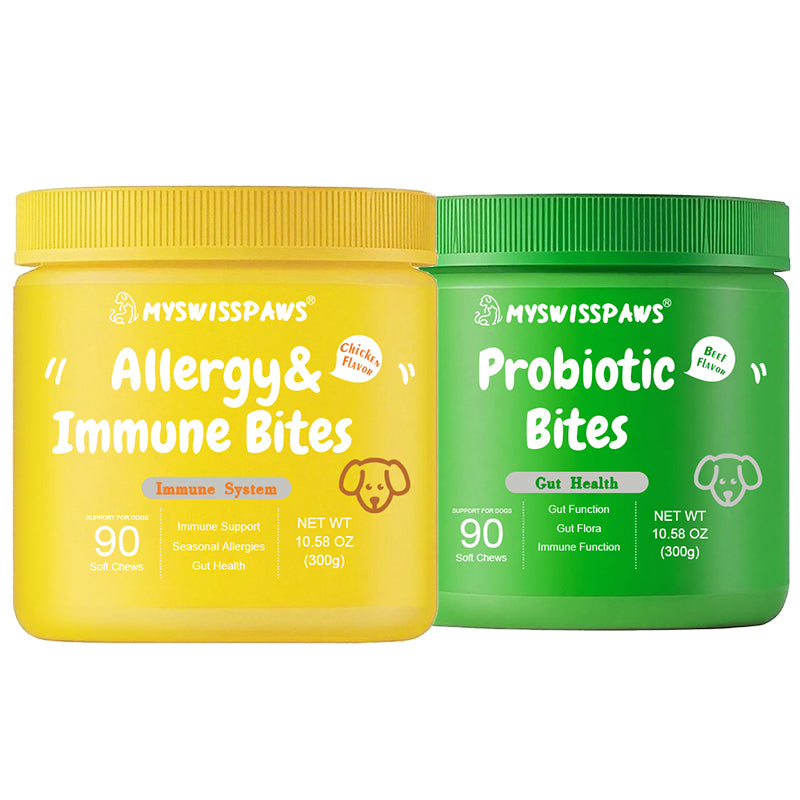 Darm &amp; Immunsystem | Bundle für Hunde