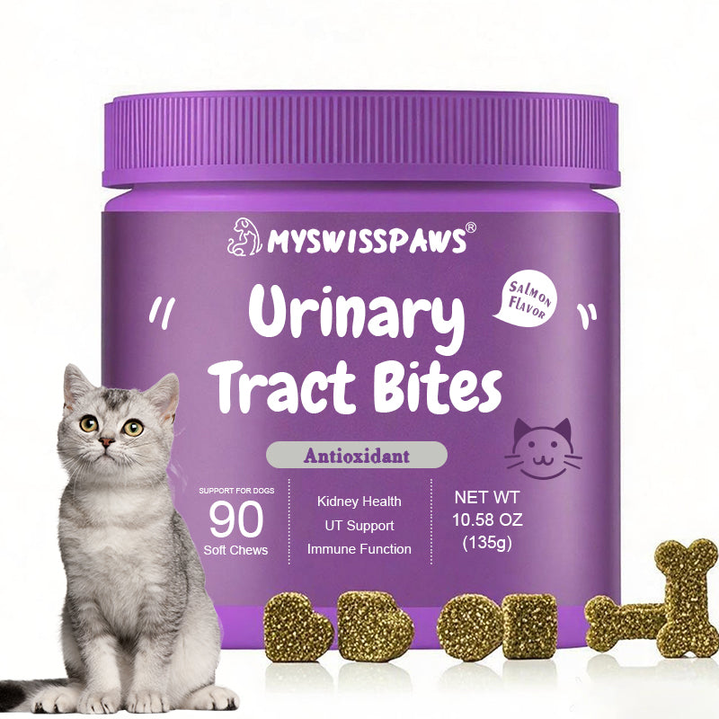 Urinary Tract Bites, For Cats, All Ages, Rindfleischgeschmack