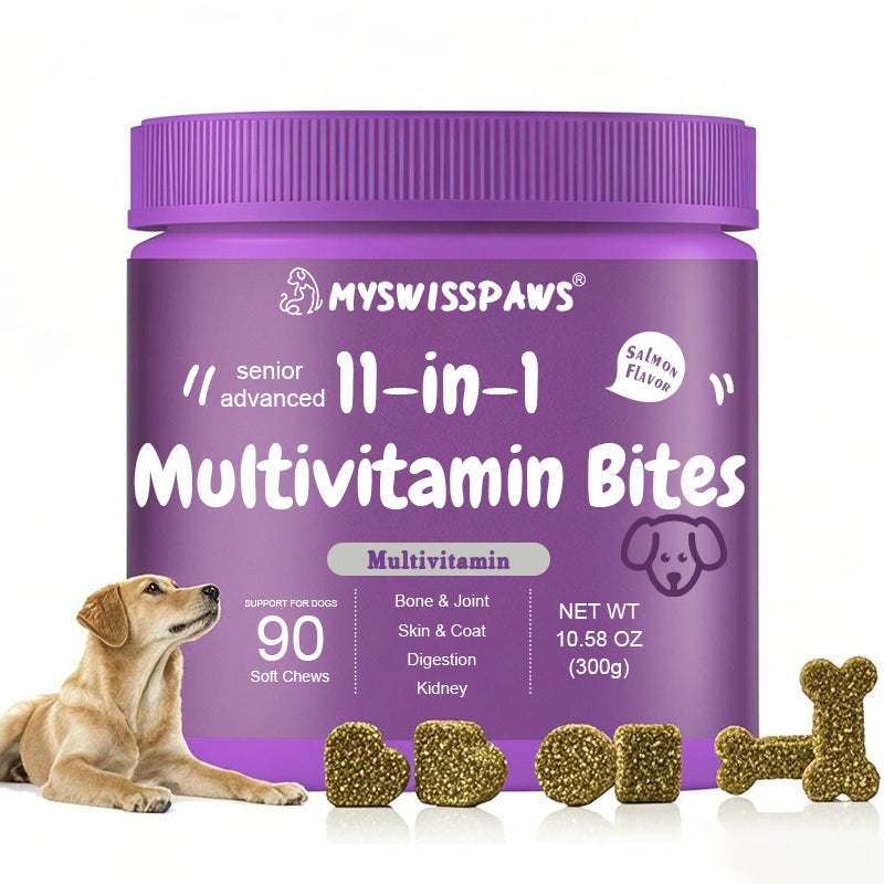 Everyday Health Bundle 11-in-1 Bites + Vision Bites™ für ältere Hunde