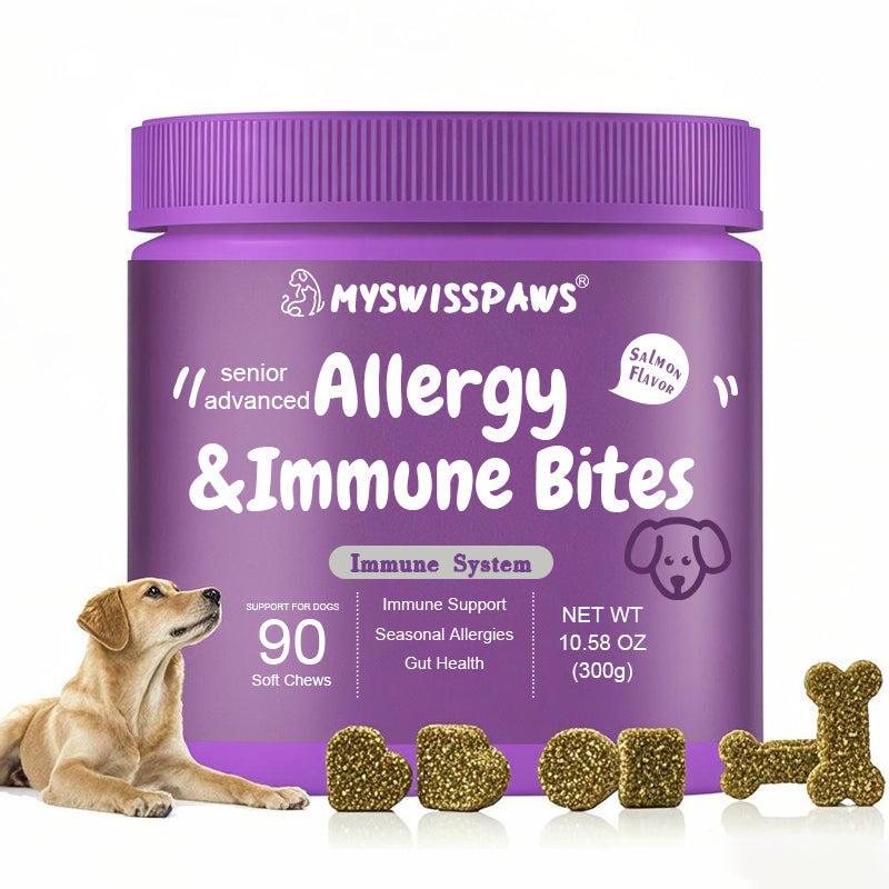 Senioren Alltags-Funktionsartikel | Bundle für Hunde