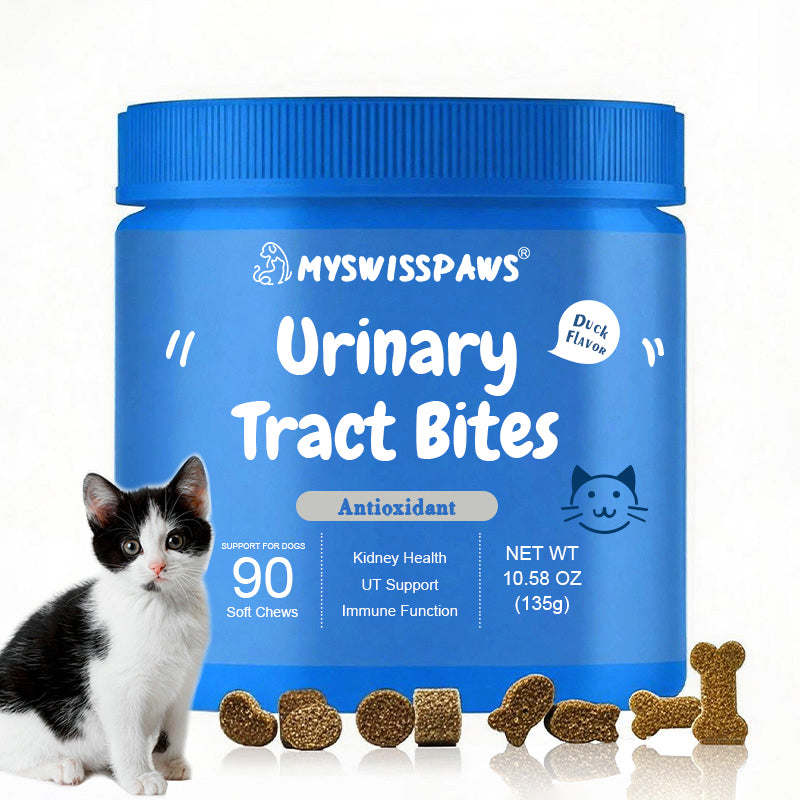 Urinary Tract Bites, For Cats, All Ages, Rindfleischgeschmack