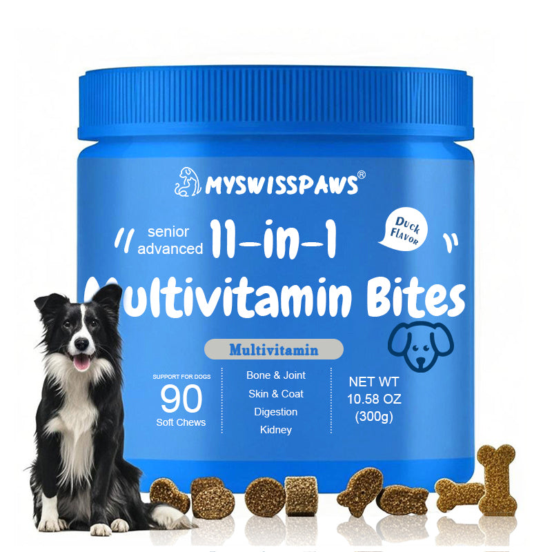 Everyday Health Bundle 11-in-1 Bites + Vision Bites™ für ältere Hunde