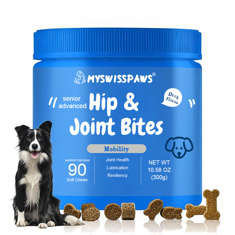 Senioren Alltags-Funktionsartikel | Bundle für Hunde