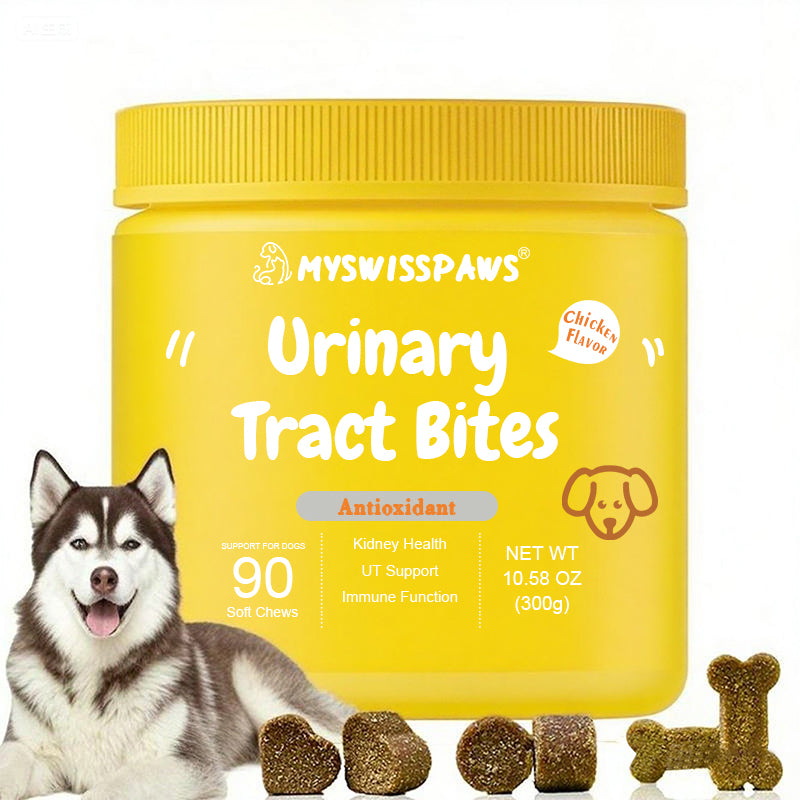 4er-Pack Bisse für Hunde