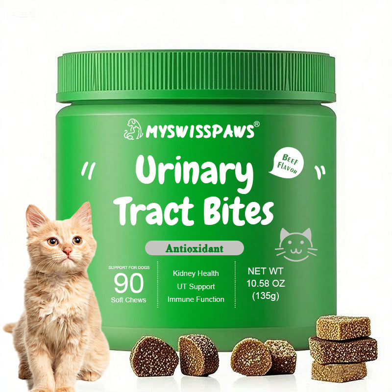 Urinary Tract Bites, For Cats, All Ages, Rindfleischgeschmack