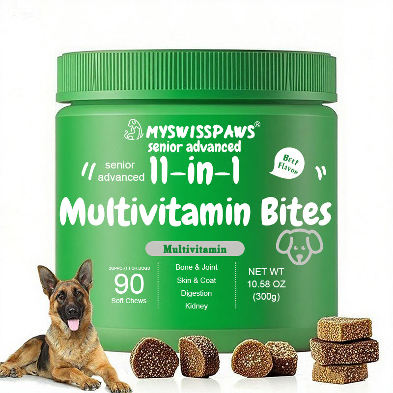 Everyday Health Bundle 11-in-1 Bites + Vision Bites™ für ältere Hunde
