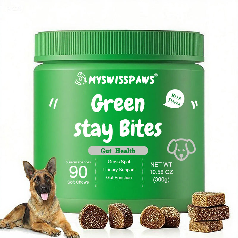 Stay Green Bites, für Hunde jeden Alters,Lachsgeschmack