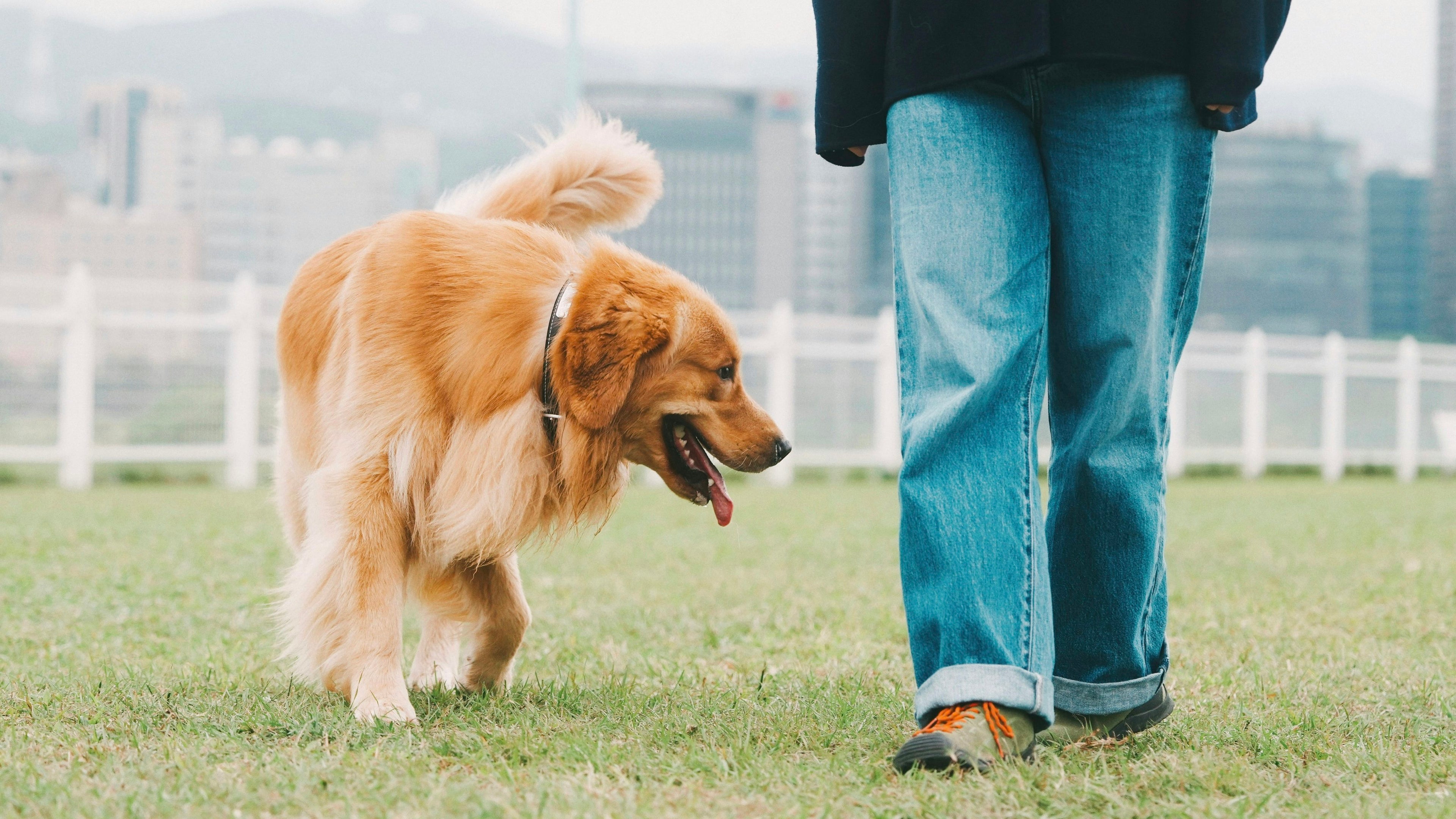 slider image 1621243260e1af0c20-2